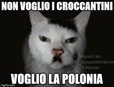 Gatto Hitler: Non voglio i croccantini, voglio la Polonia