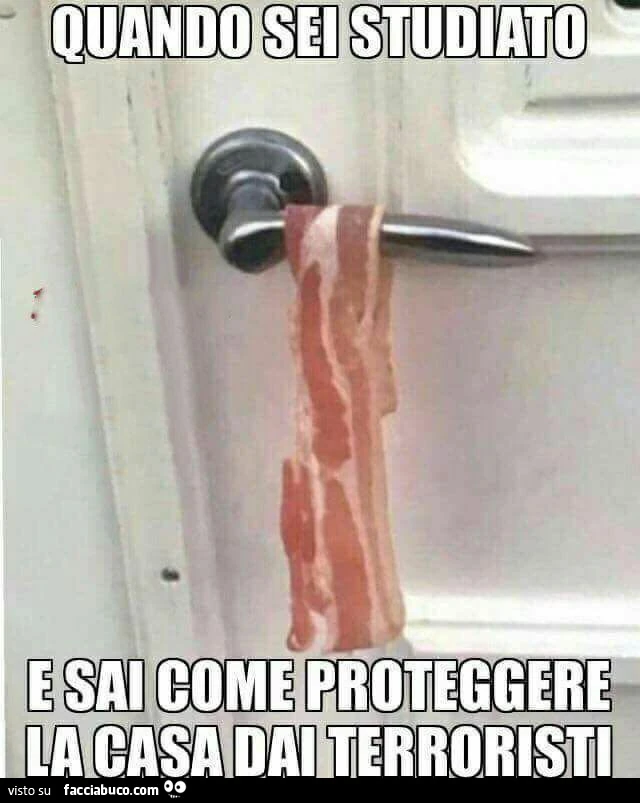 Quando sei studiato e sai come proteggere la casa dai terroristi
