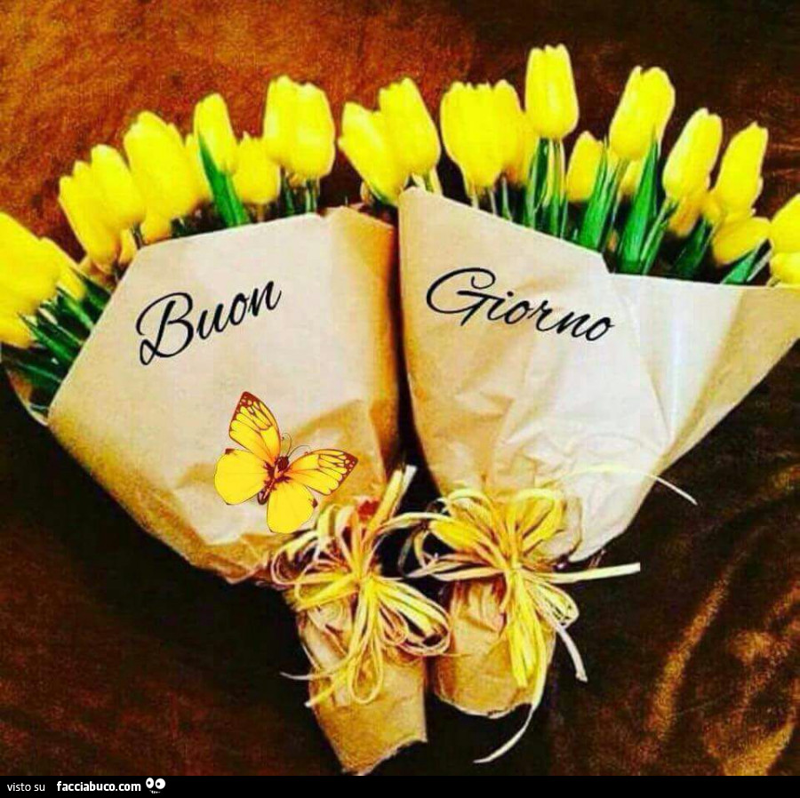 Buon giorno mazzi di tulipani - Facciabuco.com