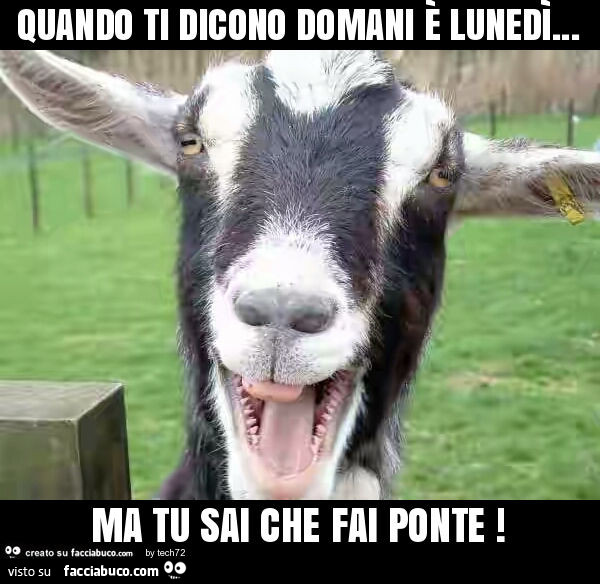 Quando ti dicono domani è lunedì… ma tu sai che fai ponte
