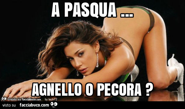 A pasqua… agnello o pecora?