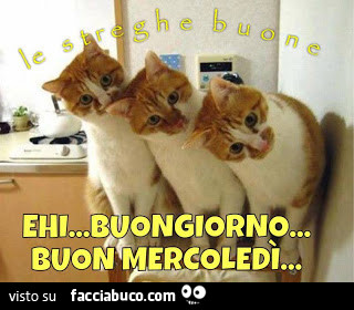Ehi buongiorno, buon Mercoledì