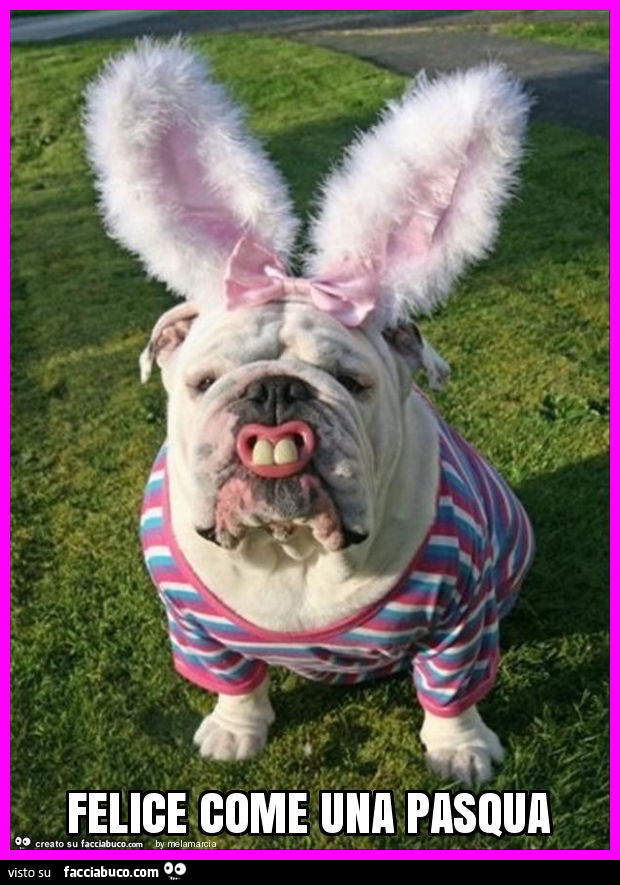 Felice come una pasqua