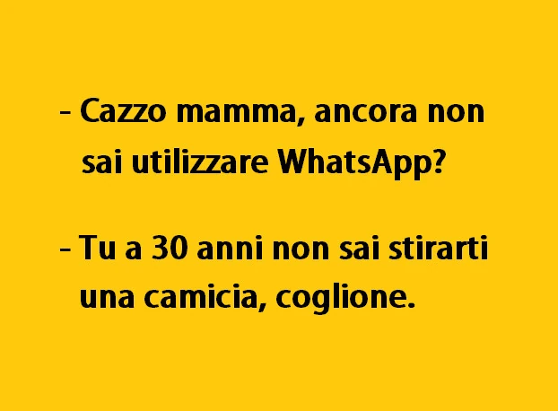 Cazzo mamma, ancora non sai utilizzare WhatsApp? Tu a 30 anni non sai stirarti una camicia, coglione