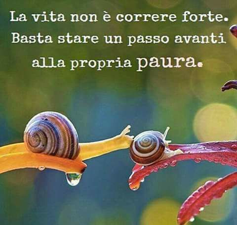 Il bambino è fatto male da un dorso in una vita chinandosi