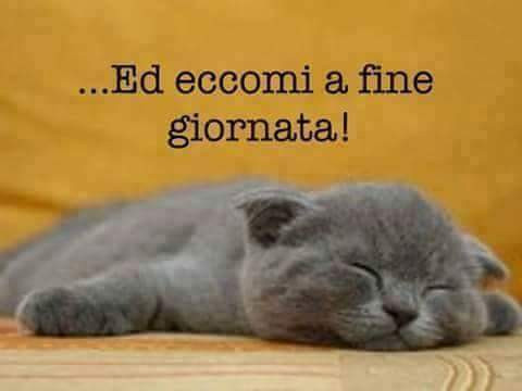 Ed eccomi a fine giornata