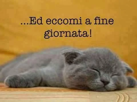Ed eccomi a fine giornata