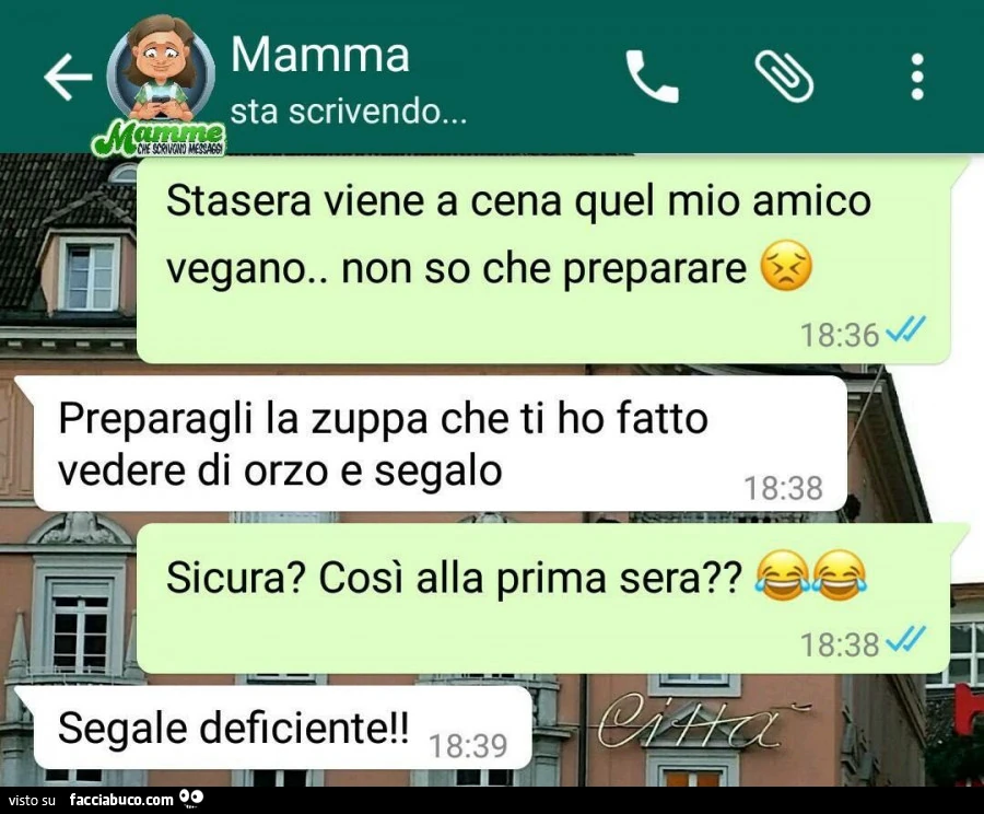Vaccata