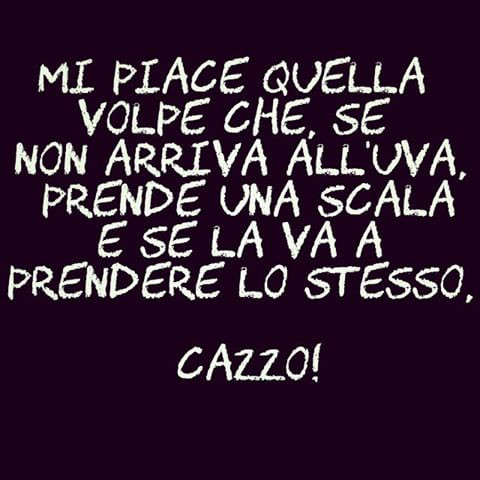 Mi piace quella volpe che se non arriva all'uva prende una scala e se la va a prendere lo stesso, cazzo