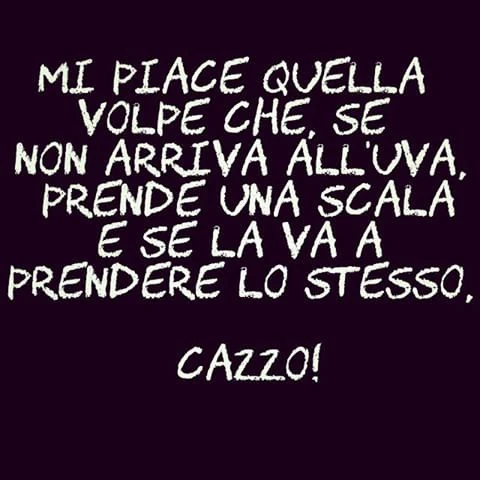 Mi piace quella volpe che se non arriva all'uva prende una scala e se la va a prendere lo stesso, cazzo