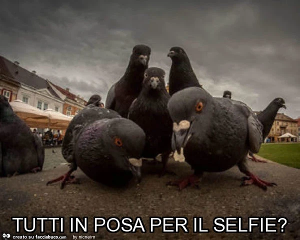 Tutti in posa per il selfie?