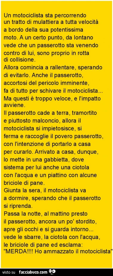 Un motociclista sta percorrendo un tratto di mulattiera a tutta velocità a bordo della sua potentissima moto