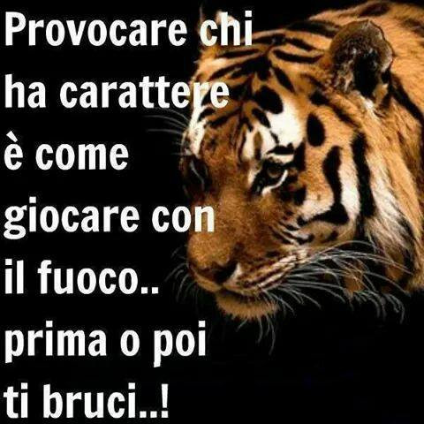 Provocare chi ha carattere è come giocare con il fuoco. Prima o poi ti bruci