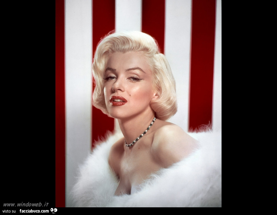 Marilyn monroe