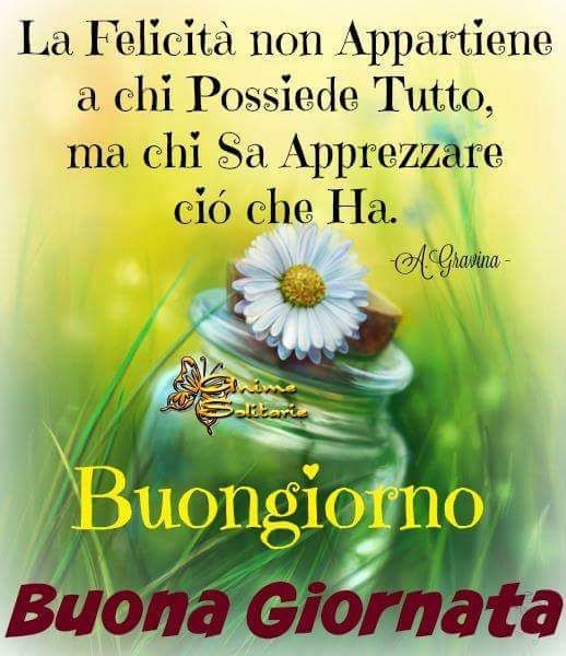 La felicità non appartiene a chi possiede tutto, ma chi sa apprezzare ciò che ha. Buongiorno, buona giornata