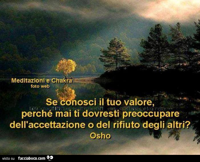 Osho: se conosci il tuo valore, perché mai ti dovresti preoccupare dell'accettazione o del rifiuto degli altri?