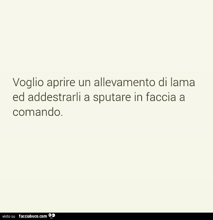 Voglio aprire un allevamento di lama ed addestrarli a sputare in faccia a comando