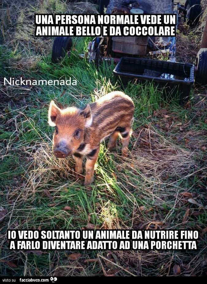 Una persona normale vede un animale bello e da coccolare… io vedo soltanto un animale da nutrire fino a farlo diventare adatto ad una porchetta