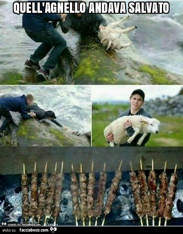 Quell'agnello andava salvato