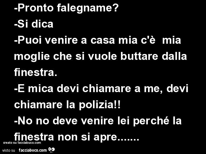 Pronto falegname? Si dica Puoi venire a casa mia c'è mia moglie che si vuole buttare dalla finestra. E mica devi chiamare a me, devi chiamare la polizia! No no deve venire lei perché la finestra non si apre