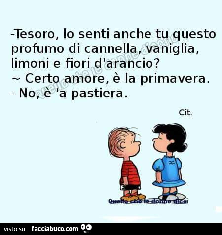 Tesoro, lo senti anche tu questo profumo di cannella, vaniglia, limoni e fiori d'arancio? Certo amore, è la primavera. No, è 'a pastiera