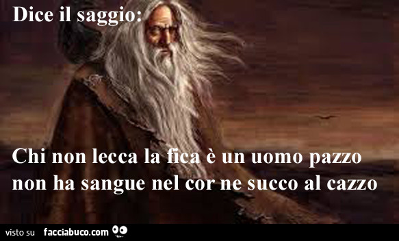 Dice il saggio: chi non lecca la fica è un uomo pazzo non ha sangue nel cor ne succo al cazzo