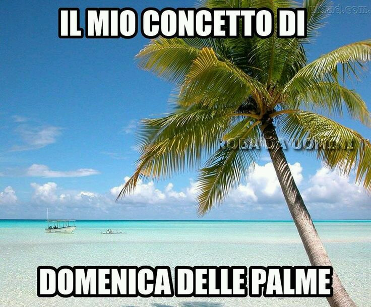 Il Mio Concetto Di Domenica Delle Palme