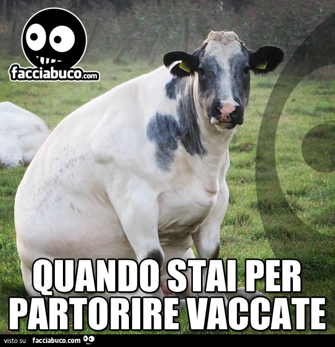 Quando stai per partorire vaccate