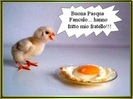 Buona Pasqua. Fanculo&hellip; hanno fiitto mio fratello
