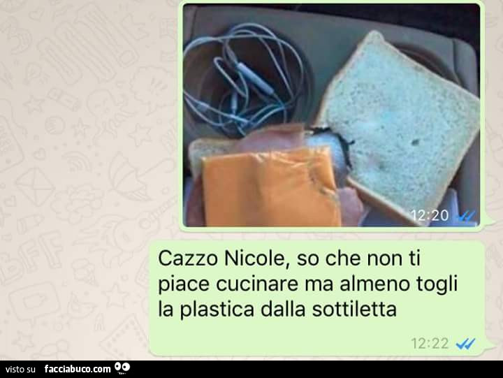 Cazzo Nicole, so che non ti piace cucinare ma almeno togli la plastica dalla sottiletta