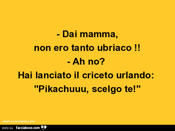 Dai mamma, non ero tanto ubriaco! Ah no? Hai lanciato il criceto urlando: Pikachuuu, scelgo te