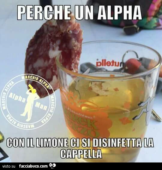 Vaccata