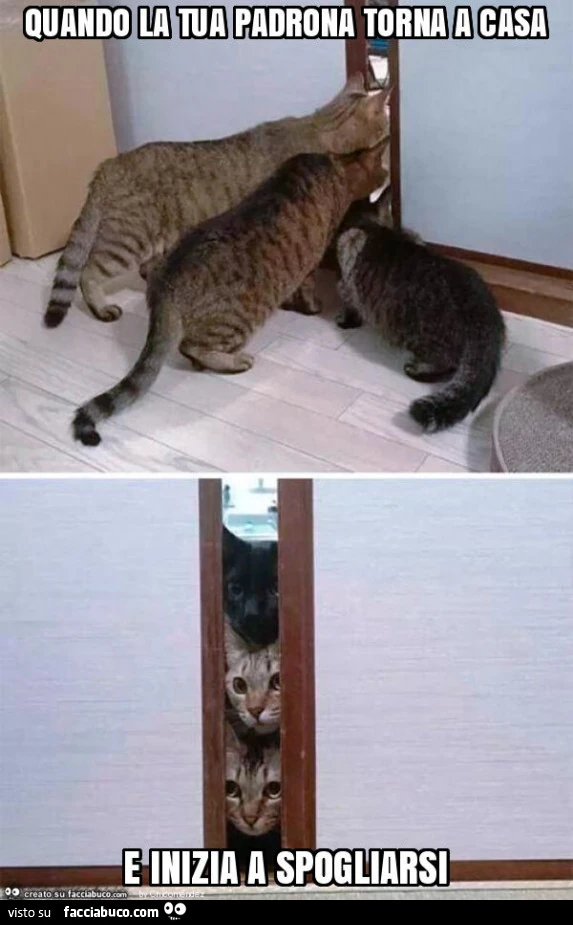 Quando la tua padrona torna a casa e inizia a spogliarsi