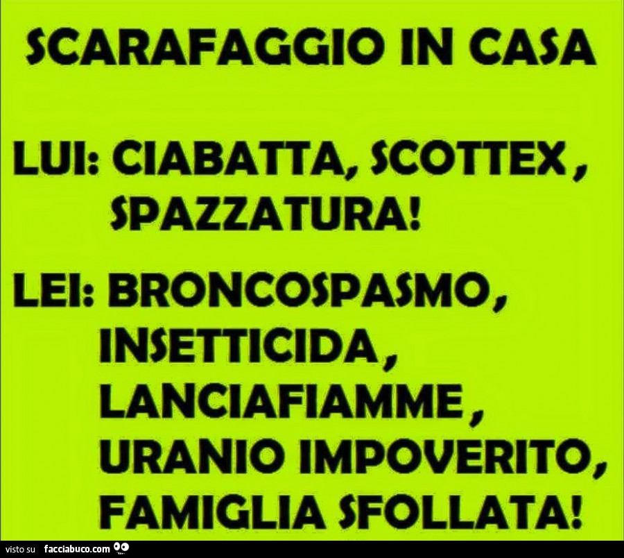 Scarafaggio in casa lui: ciabatta, scottex, spazzatura! Lei: broncospasmo, insetticida, lanciafiamme, uranio impoverito, famiglia sfollata