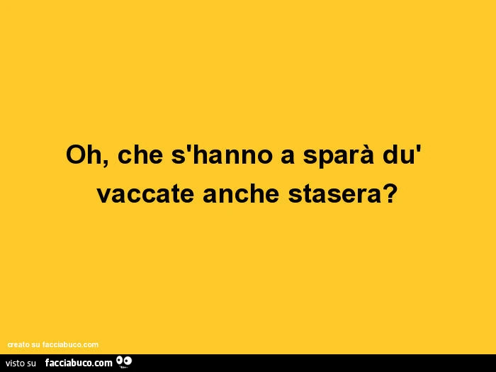 Oh, che s'hanno a sparà dù vaccate anche stasera?