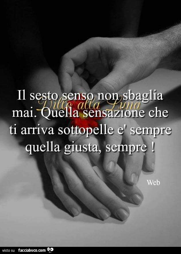 Il Mio Sesto Senso Non Sbaglia Mai