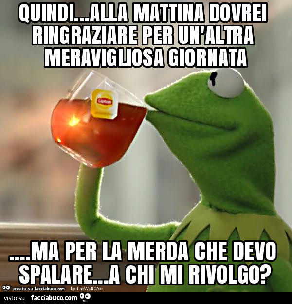 Quindi… alla mattina dovrei ringraziare per un'altra meravigliosa giornata… ma per la merda che devo spalare… a chi mi rivolgo?