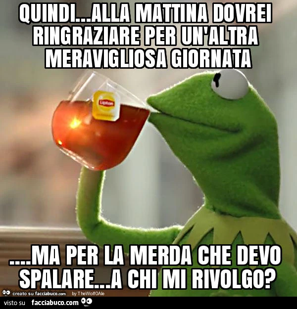 Quindi&hellip; alla mattina dovrei ringraziare per un'altra meravigliosa giornata&hellip; ma per la merda che devo spalare&hellip; a chi mi rivolgo?