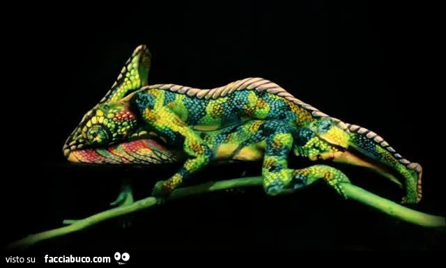 Due persone con body paint realizzano un grosso camaleonte colorato
