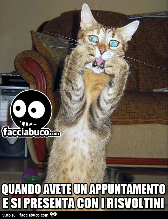 Quando avete un appuntamento e si presenta con i risvoltini