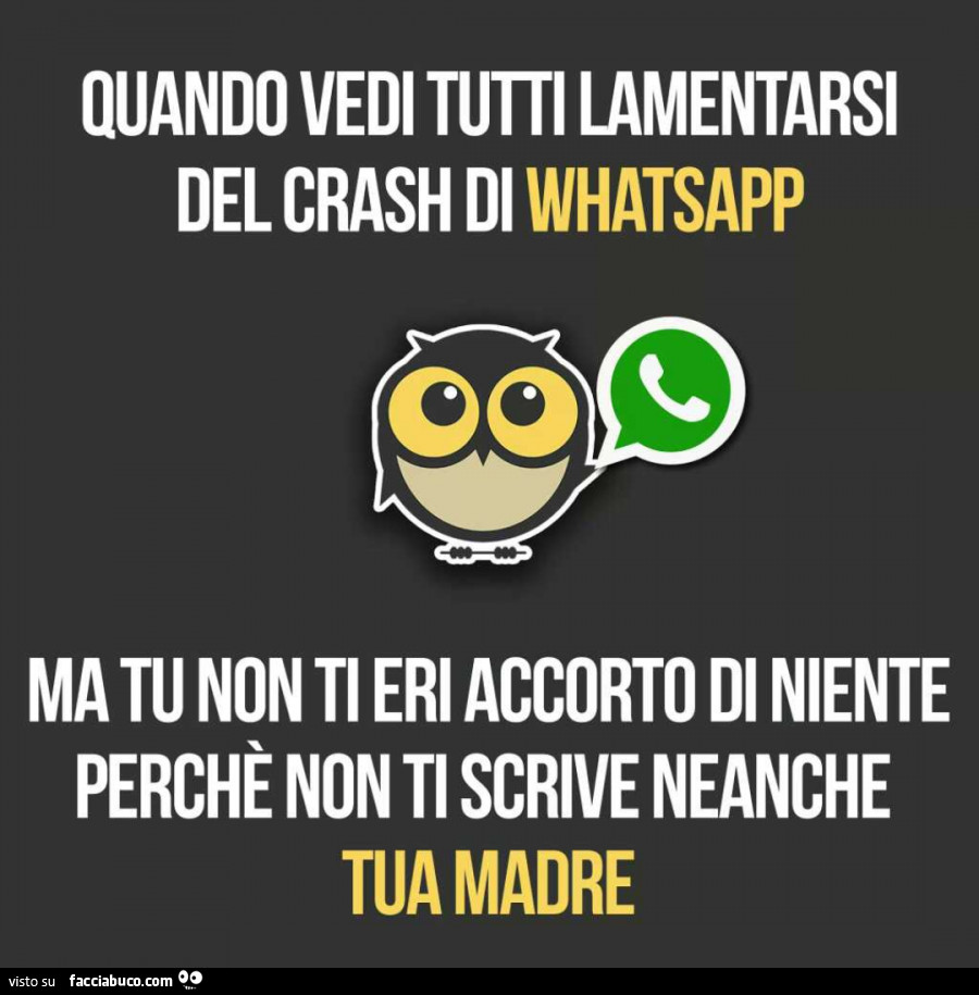 Quando vedi lamentarsi del crash di whatsapp ma tu non ti eri accorto di niente perché non ti scrive neanche tua madre