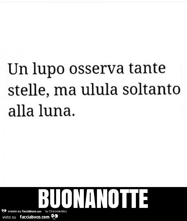 Un lupo osserva tante stelle, ma ulula soltanto alla luna. Buonanotte