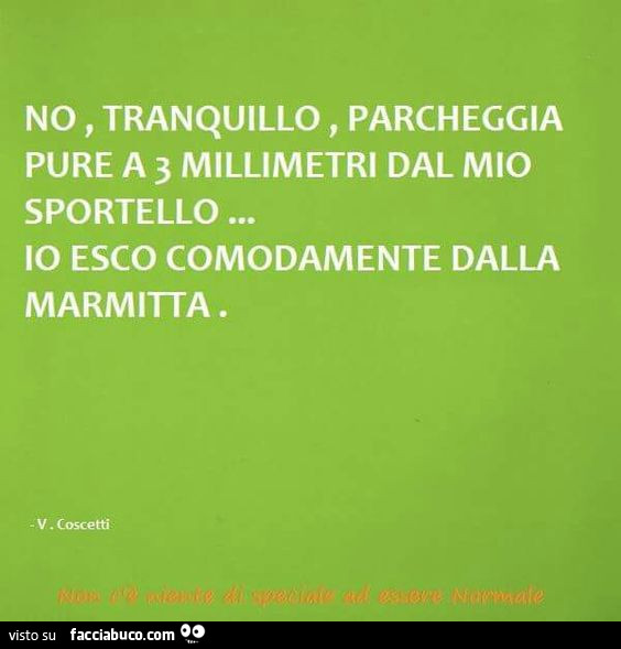 No, tranquillo, parcheggia pure a 3 millimetri dal mio sportello… io esco comodamente dalla marmitta