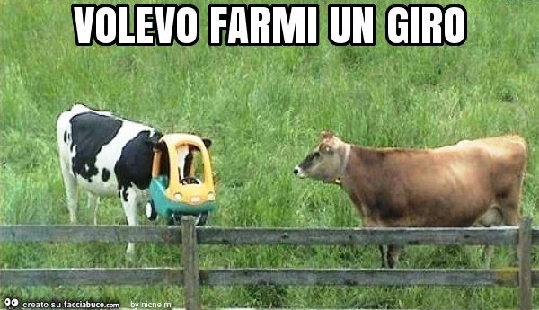 Volevo farmi un giro