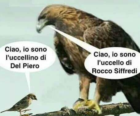 Ciao, io sono l'uccellino di Del Piero. Ciao, io sono l'uccello di Rocco Siffredi