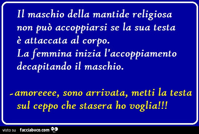 Il maschio della mantide religiosa non può accoppiarsi se la sua testa è attaccata al corpo. La femmina inizia l'accoppiamento decapitando il maschio. Amoreeee, sono arrivata, metti la testa sul ceppo che stasera ho voglia