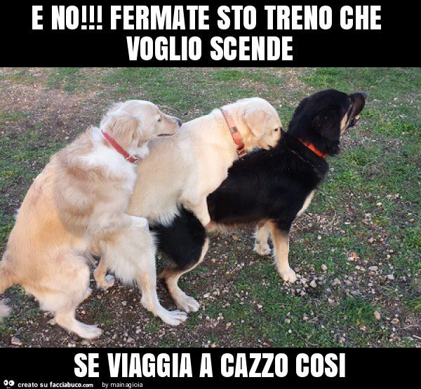 E no! Fermate sto treno che voglio scende se viaggia a cazzo cosi