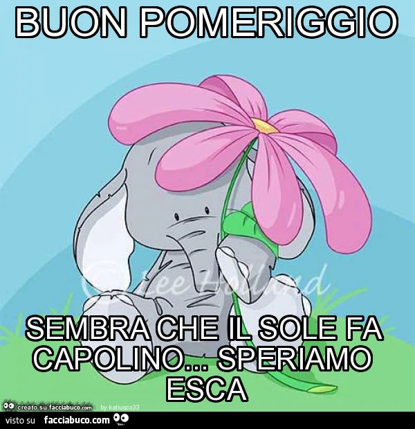 Buon pomeriggio sembra che il sole fa capolino&hellip; speriamo esca