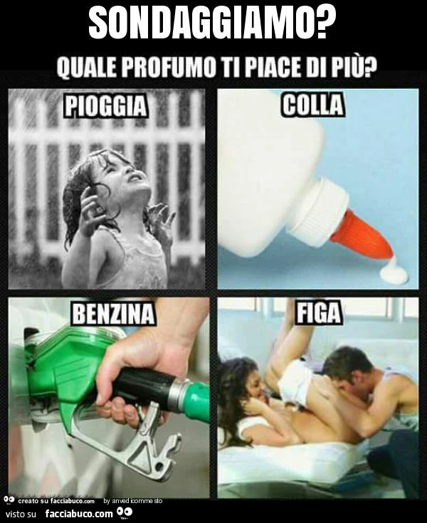 Sondaggiamo?