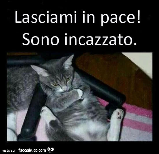 Vaccata